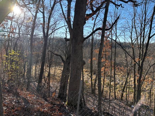 11233 Chisago Blvd, Chisago City, MN 55013 - view of wooded area