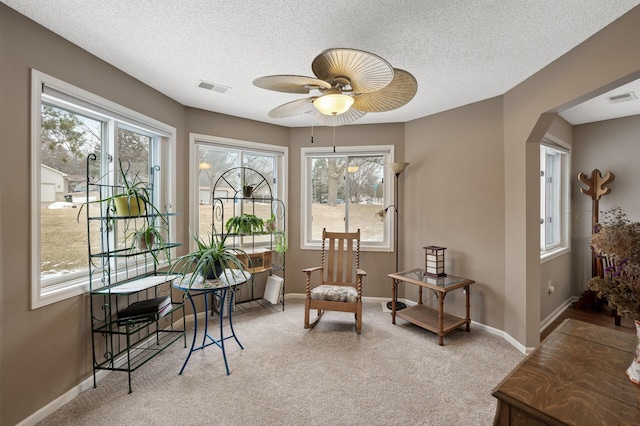 living area featuring plenty of natural light, light colored carpet, and a textured ceiling