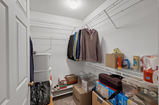 spacious closet with light carpet