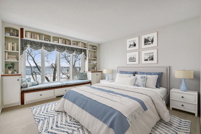 2496 Old Beach Rd, Orono, MN 55391 - view of carpeted bedroom