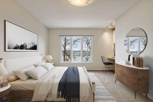 2496 Old Beach Rd, Orono, MN 55391 - carpeted bedroom with baseboards and rail lighting
