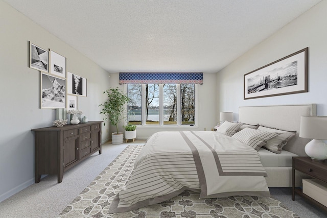 2496 Old Beach Rd, Orono, MN 55391 - bedroom with light carpet, baseboards, and a textured ceiling
