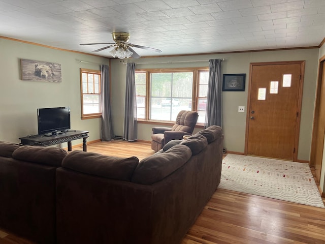 living room with crown molding, ceiling fan, and light hardwood / wood-style flooring