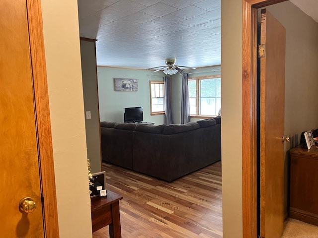 living room with ceiling fan and light hardwood / wood-style flooring