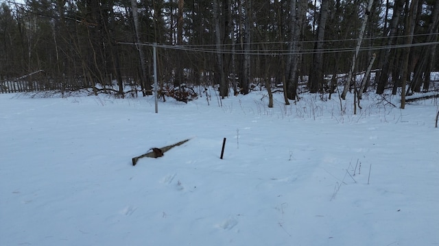 view of yard covered in snow