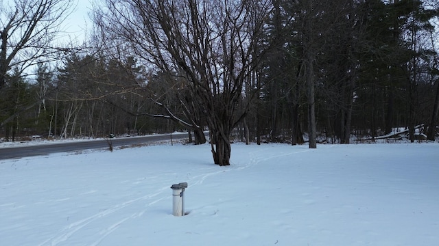 view of yard layered in snow