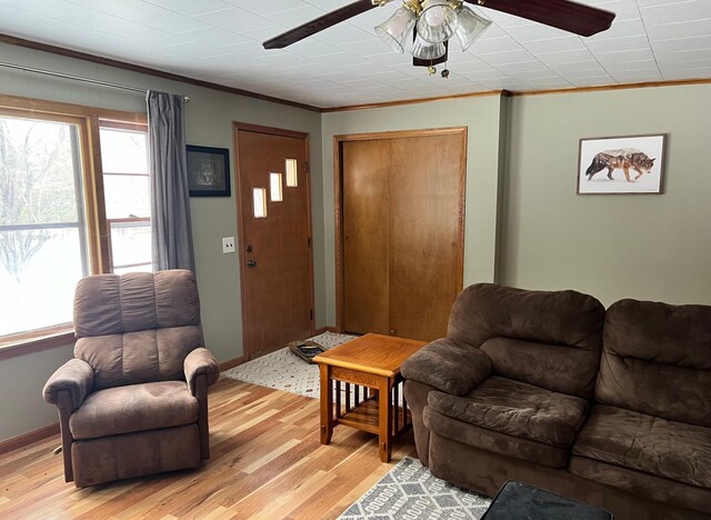 11159 Steamboat Loop NW, Walker, MN 56484 - living room featuring ornamental molding, a ceiling fan, and light wood finished floors
