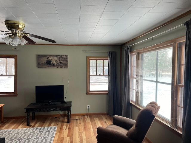 11159 Steamboat Loop NW, Walker, MN 56484 - living area with light wood-style floors and ceiling fan