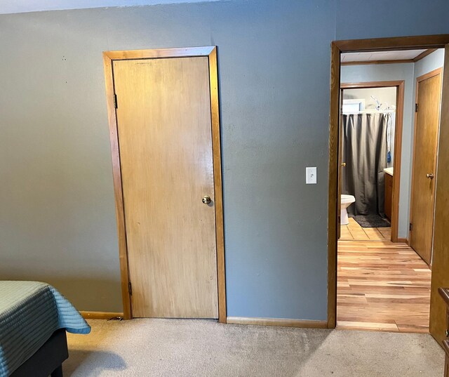 11159 Steamboat Loop NW, Walker, MN 56484 - bedroom featuring light carpet and ensuite bathroom