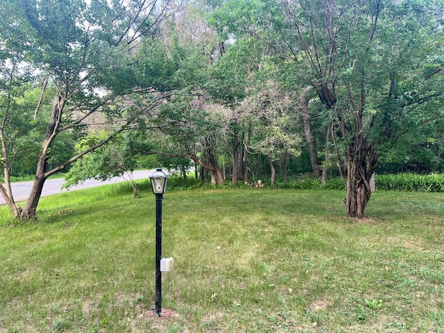 11159 Steamboat Loop NW, Walker, MN 56484 - view of yard