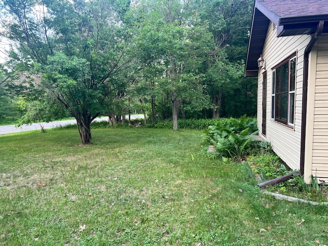 11159 Steamboat Loop NW, Walker, MN 56484 - view of grassy yard