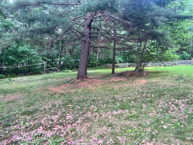 11159 Steamboat Loop NW, Walker, MN 56484 - view of yard featuring a wooded view