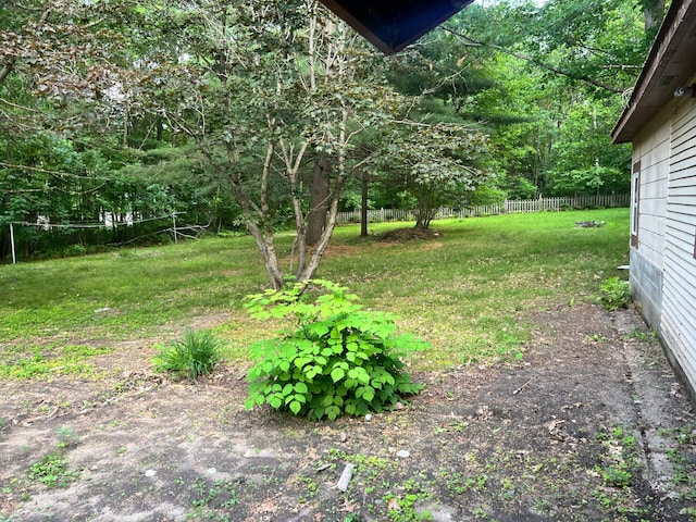 11159 Steamboat Loop NW, Walker, MN 56484 - view of yard