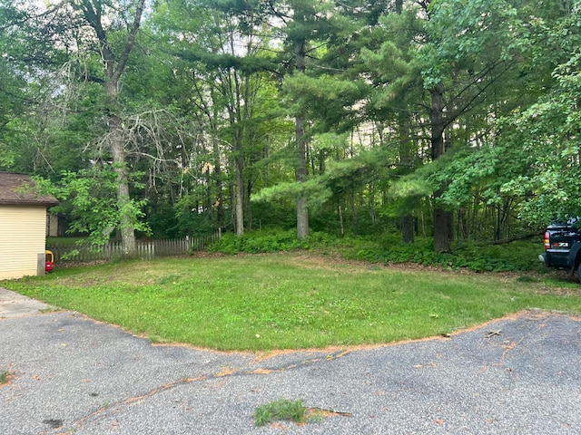 11159 Steamboat Loop NW, Walker, MN 56484 - view of yard