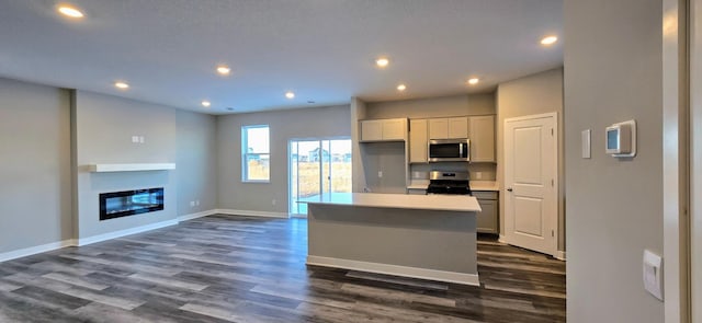 kitchen with dark hardwood / wood-style flooring, stainless steel appliances, and a center island