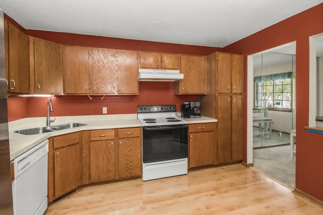 kitchen featuring white appliances, light hardwood / wood-style flooring, and sink