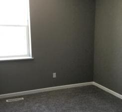 spare room with carpet