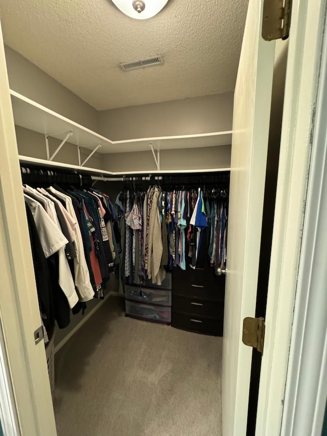 walk in closet with carpet flooring