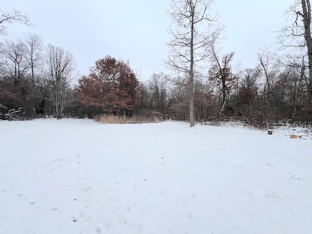 view of yard layered in snow