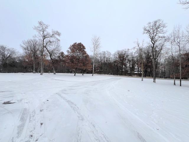 view of yard layered in snow