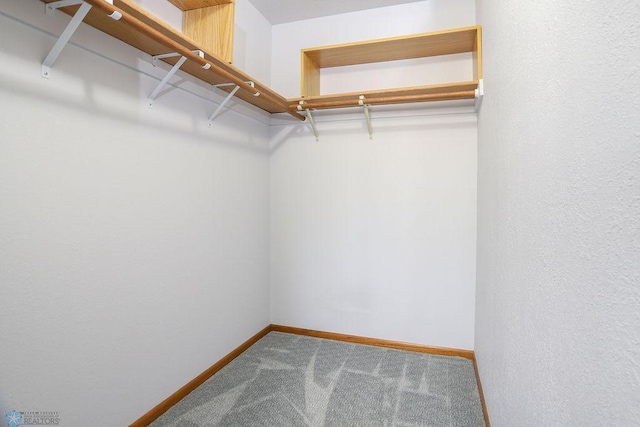 spacious closet featuring carpet flooring