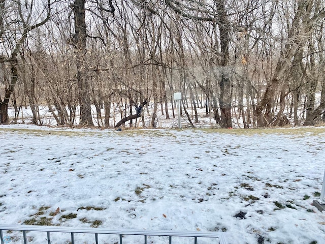 view of snowy yard