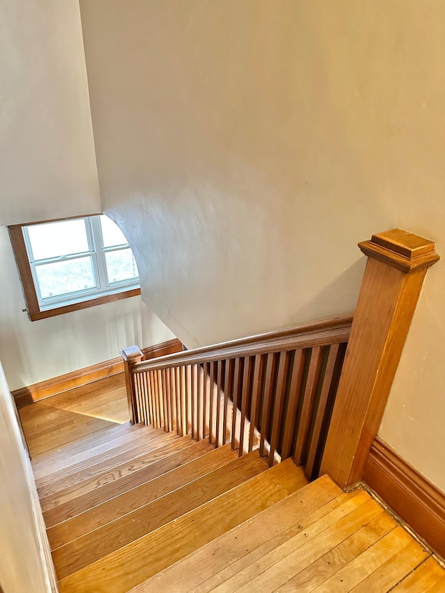 stairs with wood-type flooring