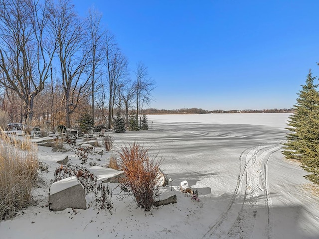 view of yard layered in snow