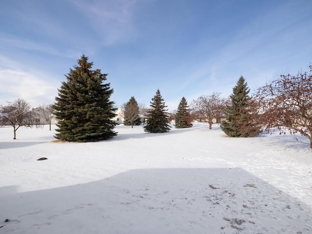 view of yard layered in snow