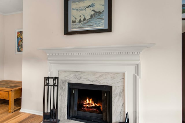 details with a high end fireplace, hardwood / wood-style floors, and ornamental molding