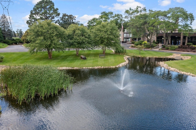 property view of water