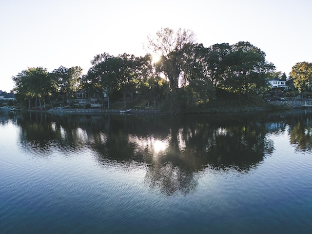 property view of water