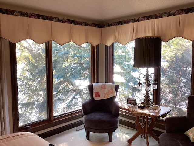 1516 Bay Oaks Dr, Albert Lea, MN 56007 - living area with healthy amount of natural light