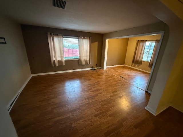 spare room featuring plenty of natural light and wood-type flooring