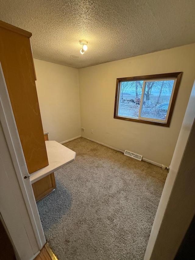 unfurnished room with carpet and a textured ceiling