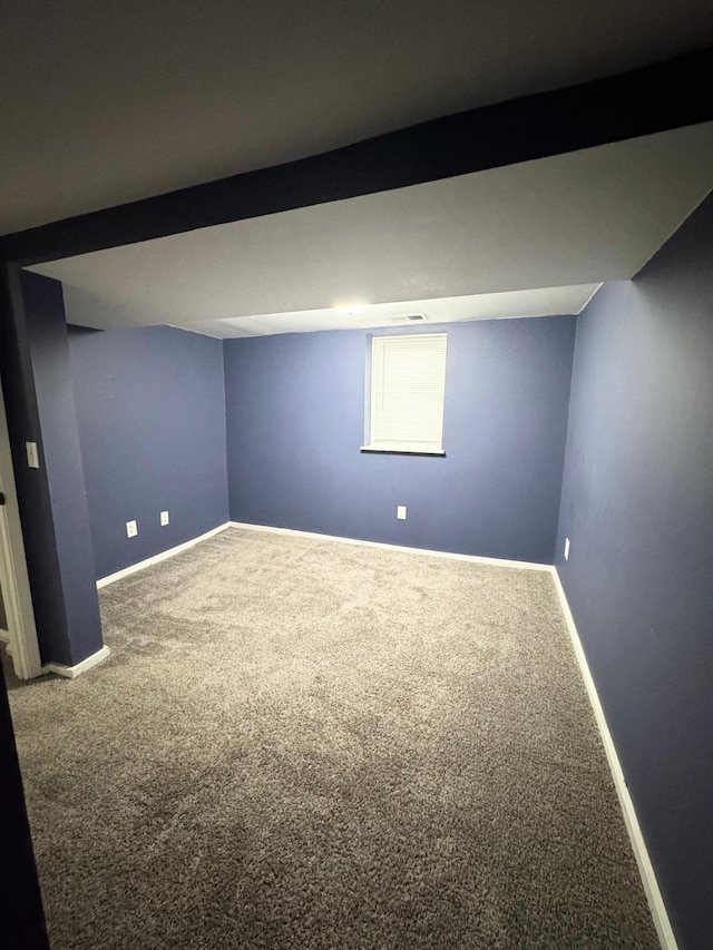 basement featuring carpet