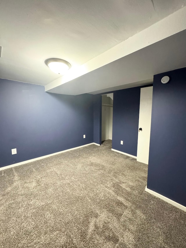 basement featuring carpet floors