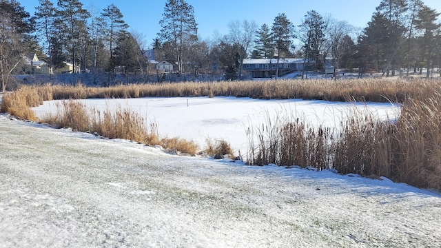 view of yard layered in snow