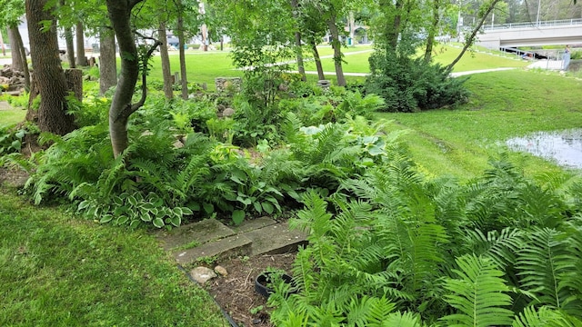 view of landscape featuring a water view