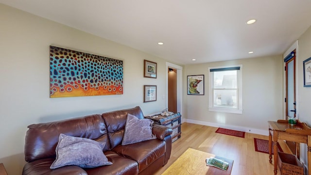 living room featuring light hardwood / wood-style floors