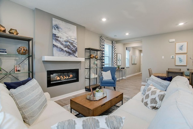 living room featuring wood-type flooring