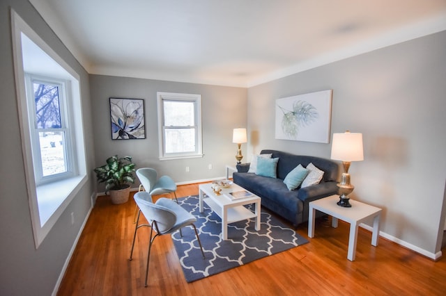 living room featuring hardwood / wood-style floors