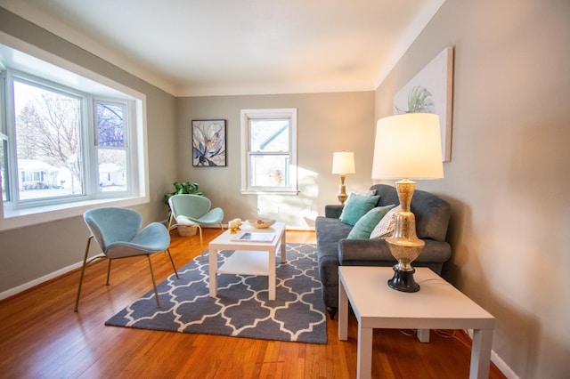 living room featuring hardwood / wood-style floors