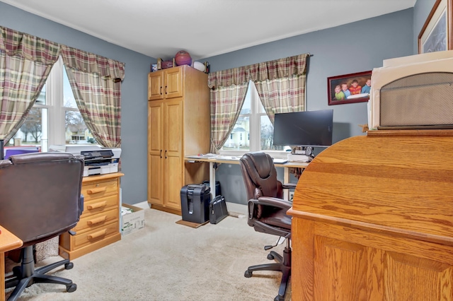 office area with light carpet