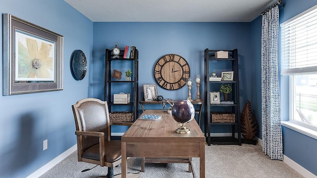 carpeted office space with a textured ceiling