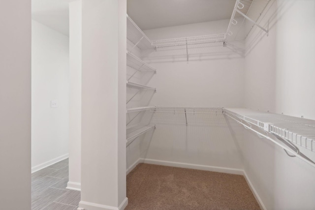 spacious closet with carpet flooring