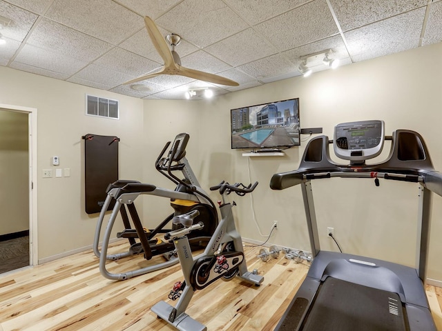 workout room featuring a drop ceiling and hardwood / wood-style flooring