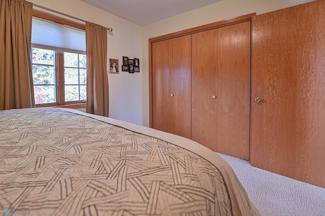 429 Bridge Ave, Warren, MN 56762 - carpeted bedroom with a closet