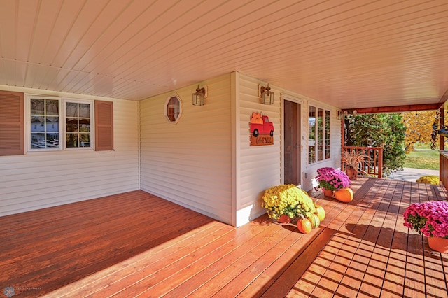 429 Bridge Ave, Warren, MN 56762 - view of porch
