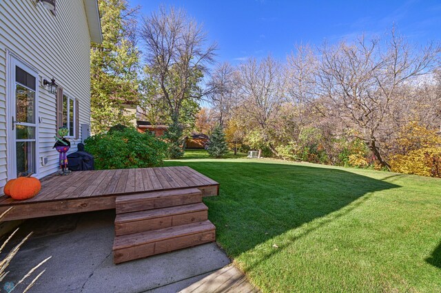 429 Bridge Ave, Warren, MN 56762 - view of grassy yard
